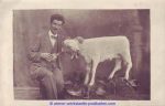 two headed calf ca 1915 Kalb mit zwei Köpfen