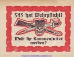 Flugzettel SHS Kärnten Volksabstimmung ca 1920