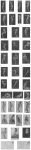 Trude Fleischmann, Akt- Bewegungsstudien um 1930, 35 Fotos Vintages Bromsilber (Sepia) unterschiedliche Formate bis 13,6 x 8,8 cm Claire Bauroff teils mit Fotografen-Prägestempel und 1 Portraitstudie, 1 Portrait Paula Wessely mit persönlicher Widmung (unserer lieben Helferin Mitzi Wölfl) datiert 1932, weiters eine Postkarte an die Adresse Trude Fleischmann zu Handen Maria Wölfl (vermutlich Ateliersgehilfin)