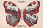 Lucens Schmetterling 1916