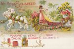 Litho Wien l Rosa Schaffer um 1900