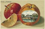 Germany Hamburg &#8211; 181 postcards and 23 ephemera mostly lithos and types 1895 to 1920