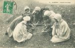 Algeria &#8211; 157 postcards types and ethnic pub Ideale 1905 to 1930