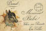 Lot mit 2 Umschlägen und 4 Liliputfaltblättern Litho  Wien Werbung Demel um 1900