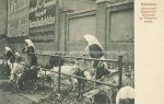 München Ziegen am Viktualienmarkt um 1900