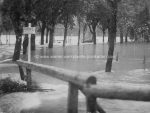Lot mit 6 Kartonfotos Krziwanek u. a., Bad Ischl Überschwemmung 1897 14,5 x 11 bis 17 x 12,5 cm teils Karton fleckig