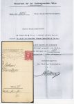 Lot mit ca. 93 Privatganzsachen &#8211; Österreich &#8211; 1908, 1916/17 mit Zeitungsmarken (auf Blättern in Ordnern)