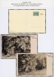 Lot mit ca. 125 Privatganzsachen &#8211; Österreich &#8211; 1929 bis 1932 (auf Blättern in Ordnern)