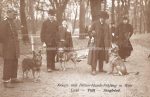 Fotokarte &#8211; Kriegs- und Polizeihundeprüfung Wien &#8211; 1910