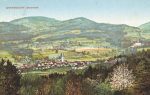 Lot mit 100 AK Steiermark mit Details &#8211; 1900/1945