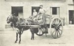 Havana Dray and Driver &#8211; 1905