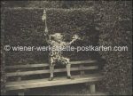 Schärdinger Festspiele &#8211; über 150 Fotos in 4 Alben &#8211; diverse Formate &#8211; 1935/36/37/38