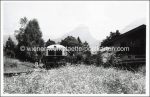 Lot über 400 AK Verlagsfotos in AK Format Eisenbahn, Tramway viel Österreich &#8211; 1950/1970 sw