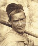 Indonesien Sumatra &#8211; 90 Fotos in asiatischem Album mit Seidenstickerei + 1 Album Schlangenleder &#8211; diverse Formate &#8211; Tiere, Menschen, Vegetation &#8211; um 1930