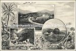 Lot 33 AK Topo Österreich Schweiz Deutschland etc. mit Details &#8211; 1900/1940 &#8211; color/sw
