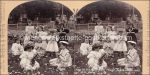 10 Stereofotos Kinder Griffith + Griffith um 1890