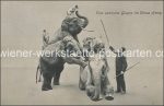 Lot 30 AK Zirkus Varieté einige Sarrasani + Bernum Bailey &#8211; 1900/1930 &#8211; color/sw