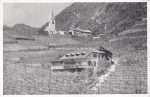 Lot über 500 AK Südtirol T-Z + Bozen, Meran ohne Spitzen &#8211; 1900/1950 &#8211; color/sw