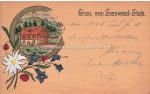 Holzkarte &#8211; Sonnwendstein &#8211; 1899