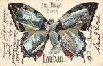 Lauban &#8211; Schmetterling &#8211; 1905