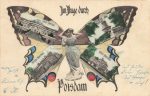 Potsdam &#8211; Schmetterling &#8211; 1905