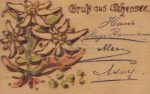 Holzbrandkarte &#8211; Achensee &#8211; 1897