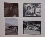 Adel Kaiser Familie Bienerth-Schmerling um 1905-1915 &#8211; 145 Fotos in Album diverse Formate + kuk Armee + Zivil
