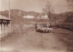 Bosnien um 1910 &#8211; 22 Fotos 11&#215;8 cm &#8211; RS beschriftet + 8 Serbien etc.