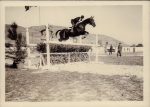 Pressefotos Pferde Reitsport 1930/1950 &#8211; 68 Stück diverse Formate
