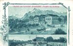 Lot &#8211; 95 AK Salzburg Stadt mit Hotels Restaurants teils Aussenbezirke &#8211; 1898/1950 &#8211; color/sw