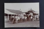 Foto Südafrika Arrival of the Cart Greytown Natal um 1910 Francis E. Pollard